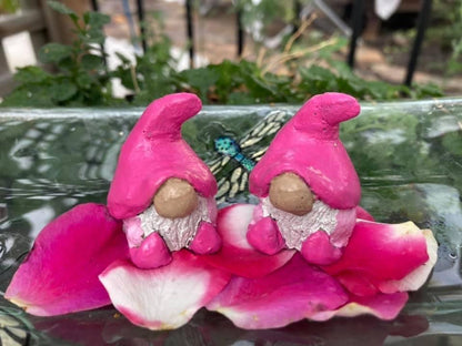 Gnugget the Gnome Paint Kit