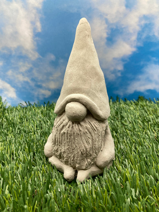 Ohm Gnome