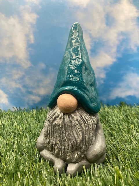 Ohm Gnome