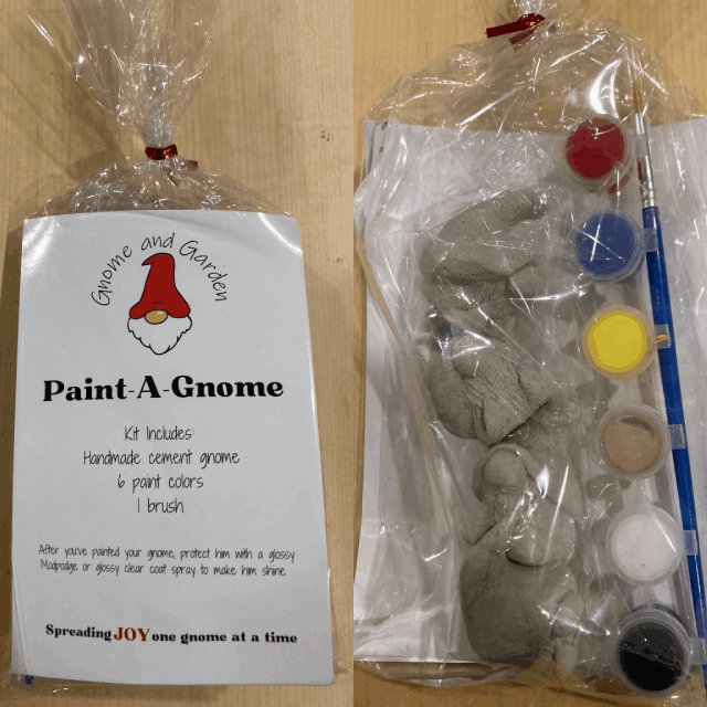 Paint a Gnome Kit